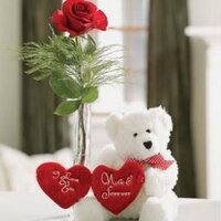 adnan (@aseer_3yoonk) 's Twitter Profile