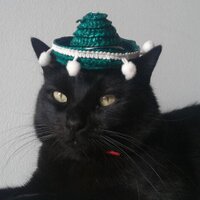 Ei-En (@donbrunildo) 's Twitter Profile