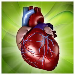 Pasco Cardiology Associates is a group practice specializing in electrophysiology, invasive and non-invasive cardiology.