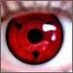 donecki's profile picture. Sport,wyjazdy,thrash metal,thriller,anarchia