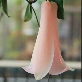 m300years's profile picture. 