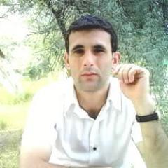 memmed31906187's profile picture. 