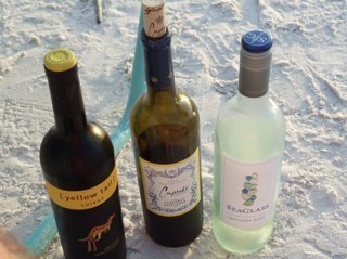 SiestaBeth's profile picture. 