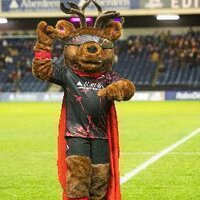 Flinty McStag (@flintymcstag) Twitter profile photo