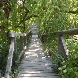 LadyDreamTalker's profile picture. 