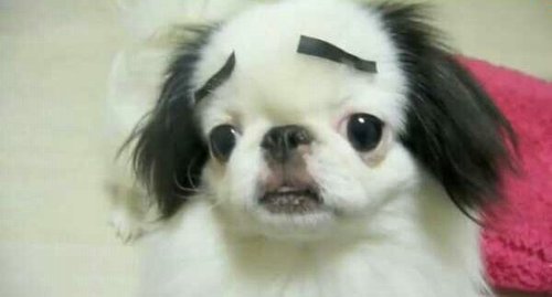 삶에 설탕을 뿌리고 달콤하게 살아가