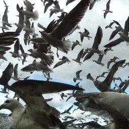 Leviathan is a thrilling, immersive documentary that takes you deep inside the dangerous world of commercial fishing. In cinemas & on DVD/VOD NOW from @dogwoof