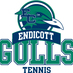 Endicott Tennis (@endicotttennis) Twitter profile photo