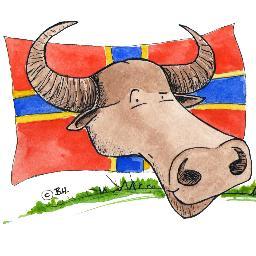 OrkneyBuffalo's profile picture. Tasty, tender water buffalo and hairy pigs. Goings on from our family farm in Orkney.