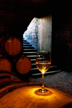 NapaWineGuys's profile picture. http:/napawineguy.com