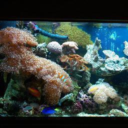Loves Family, Technology, Causes that save the world, Scuba, Wine, Cigars and Tattoos. Opinions & Tweets are my own.