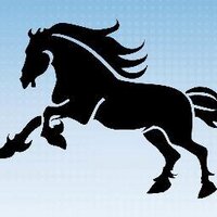 MMS PTA (@mmspta) 's Twitter Profile