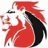 Lions supporter and avid gamer mmb jp.