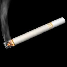 DGos54's profile picture. Professional smartass and cynic