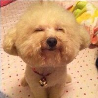 Lurion (@coraldrop) 's Twitter Profile