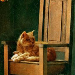 Ni bola de pelo ni gato estúpido, Buttercup. Soy un gato inmortal, no loco. Whiskas. Katniss me adora. No estoy En Llamas pero soy Sinsajo. #SpanishHGfakes