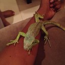 hdadjf (@0544982579) Twitter