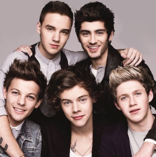 its one direction... how could you NOT love them..? if you mess with them, i'll screw you over(; 0/5