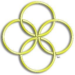 Virginia Member Circle of The National Association For Moms In Business