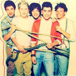 Lovatic, Directioner, Larry shipper and Ilvolover