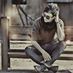 Hassan Alzubaidi (@033sobr) Twitter profile photo Hassan Alzubaidi (@033sobr) Twitter profile photo