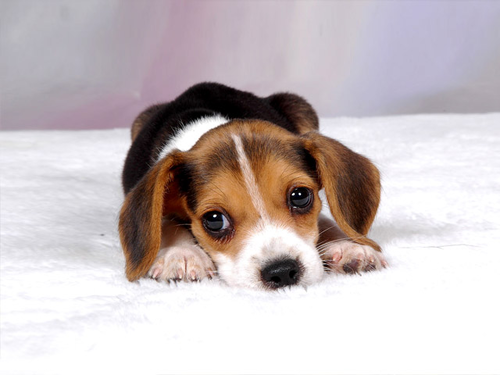 mwise667's profile picture. 