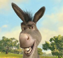 AdSherain's profile picture. please follow my new acct @giganticSheeran, wont be able to use AdSherain anymore! thanks and ily