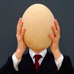 I tweet; therefore, I am.