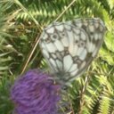 Carmel Murphy - @markandcarmel - Twitter