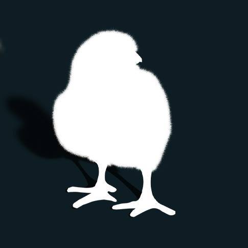 BirdsonaWireDT's profile picture. Philadelphia based dance theatre company