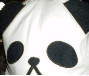 Decoyさんのプロフィール画像