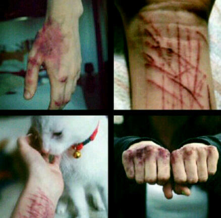 ‏غيرت حسابي حسابي الجديد هو @Ahood556 ابغا كل متابعيني هنا يروحون لحسابي الجديد