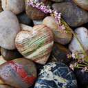 Misty Cantrell - @cantrell_misty - Twitter