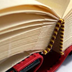 Se você enlouquece quando entra em uma livraria, adora ganhar livros, seja bem vindo!