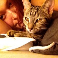 Rae (@raebells) 's Twitter Profile