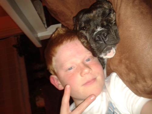 #wsvd1#feyenoord#dogs#