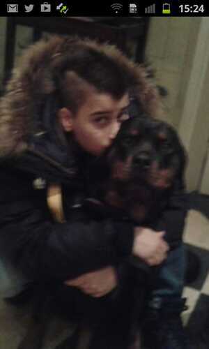 Ronen023