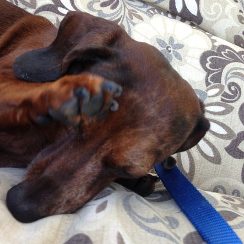 rowanGail's profile picture. 