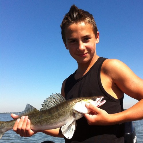 _maxjee's profile picture. 