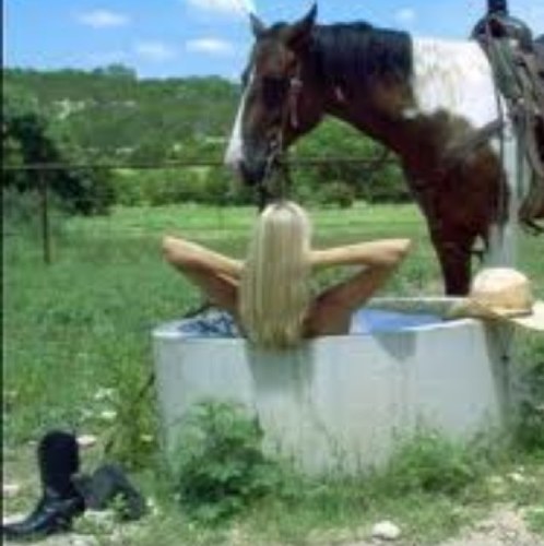 Somewhere between blushy Belle and a rowdy Rebel. Blonde barrel racer. Country, Cowgirl and a bit Bitchy. SoDak Sweetie. 8.1.13