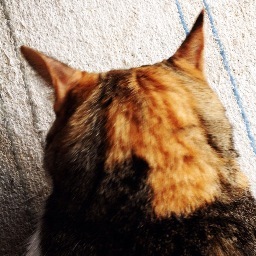 dokusyo2's profile picture. リタイア