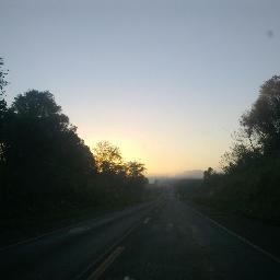 HelmaGerke's profile picture. 