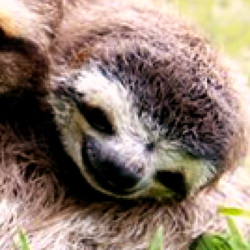 BioCocoabutter's profile picture. free follow brought to you by @mirandajade1
follow me on there for a follow back
ILY x