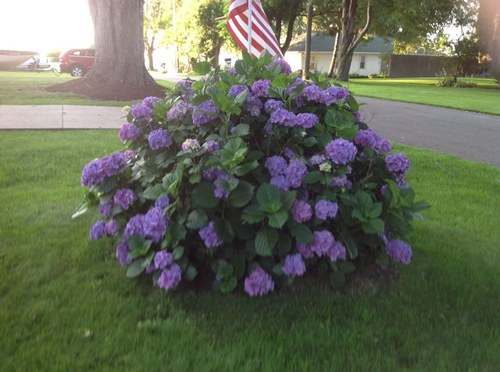 ErieCottage's profile picture. 