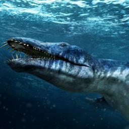 Me llamo Liopleurodon pero me puedes llamar Lio. Me encanta hundir barcos y comerme sus tripulantes.Único de mi especie.El kraken mi compadre.#SPDCF #PDCFuture