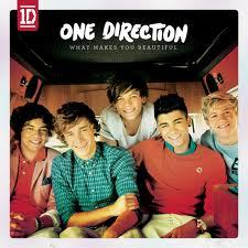 I Love One Direction Since 2013
I Adore/Stan Niall Horan 4Life! Nialler's Princess :)
1Direction Concert 7/30/2013 & 7/11/2015