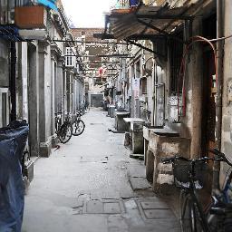 binzhangau's profile picture. 