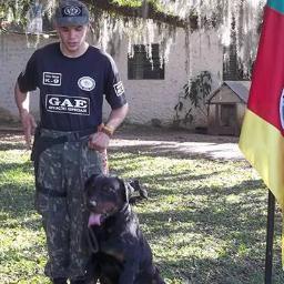adestrador , amo cachorros !