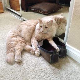 BiancaSandyLove's profile picture. 