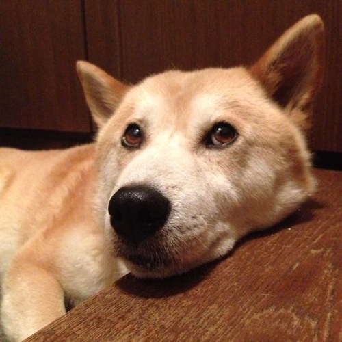 swan11211take's profile picture. よろしくね♪